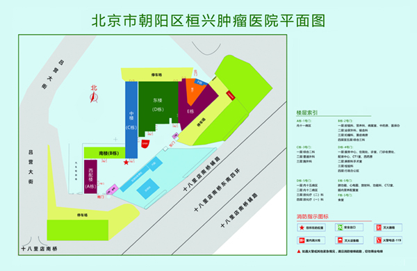 老太太骚逼毛茸茸北京市朝阳区桓兴肿瘤医院平面图